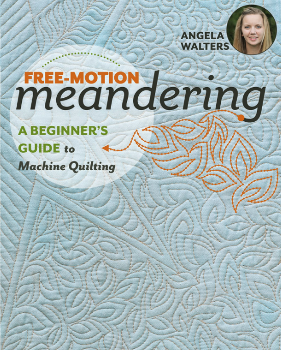free-motion meandering book