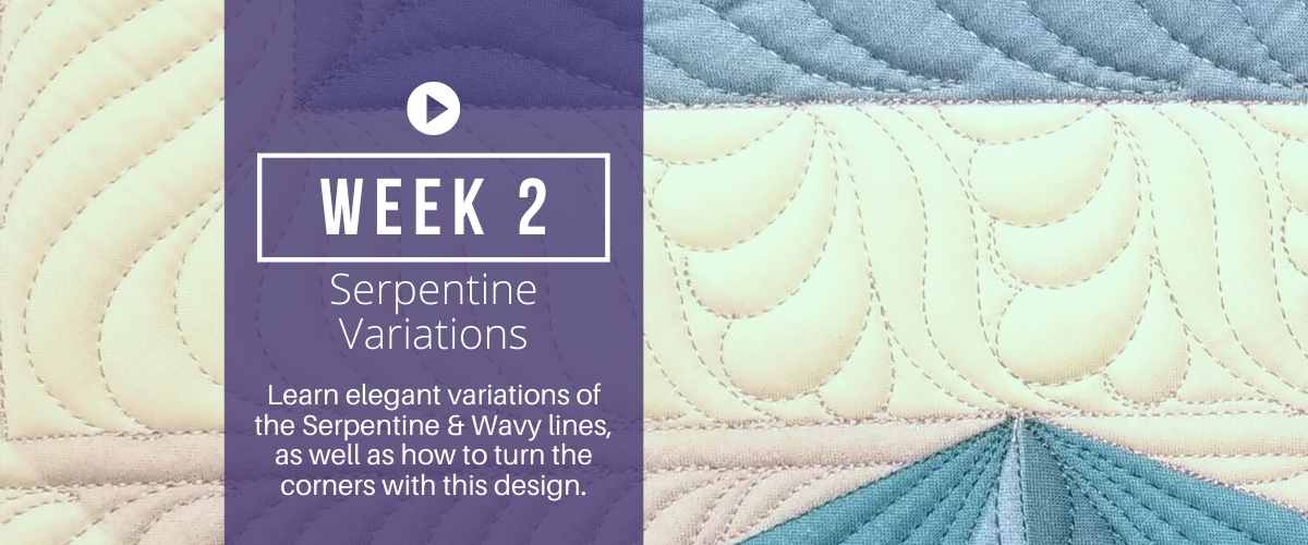week 2 free-motion challenge quilting along- serpentine variations