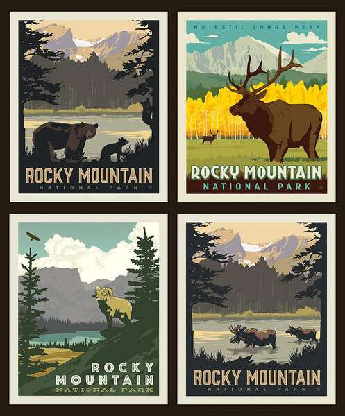 rocky mountain national parks pillow panel