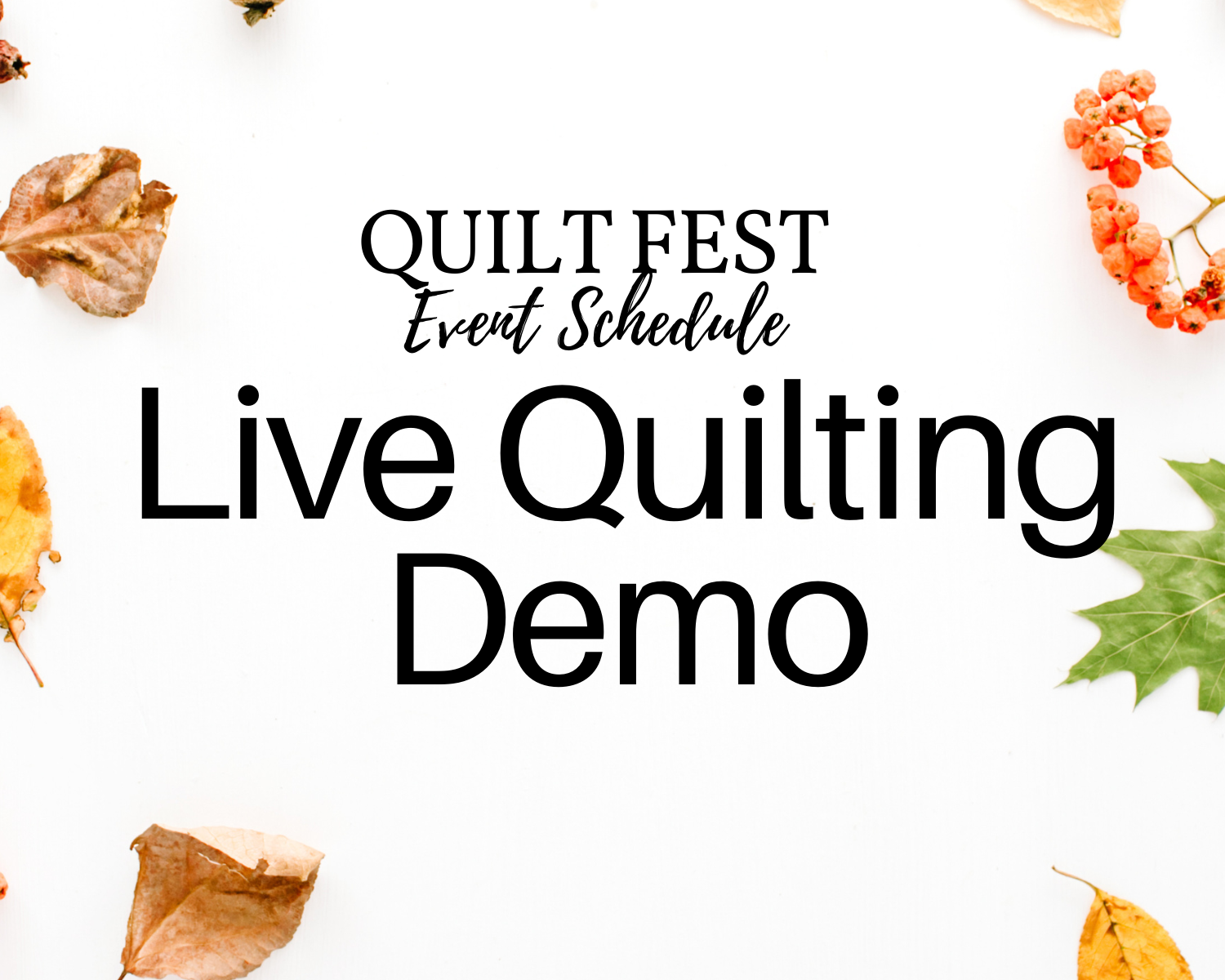 live machine quilting demo from start to finish