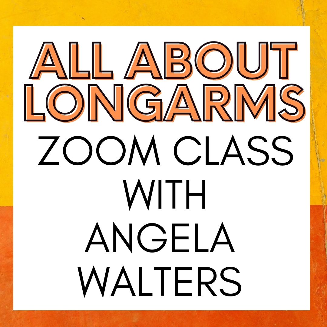 all about longarms zoom class