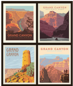 Grand Canyon National Park Poster Pillow Panel