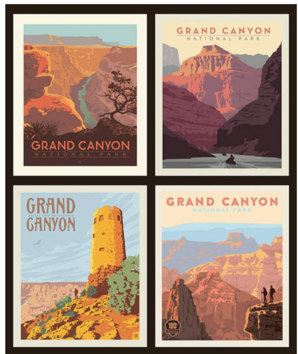 Grand Canyon National Park Poster Pillow Panel