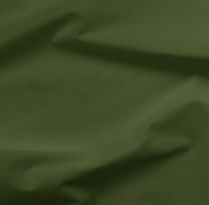 Painter's Palette Kelp Solid Fabric