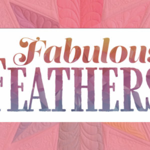 free machine quilting feathers video class