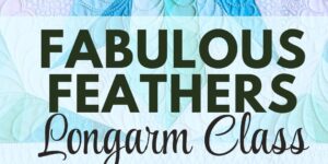 feathers hands-on longarm class