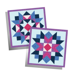 Negative Spaces Pillow Panel