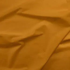 Painter's Palette Cumin