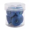 Magna-Glide Delights Size M Prewound Bobbins - Pacific - Image 2