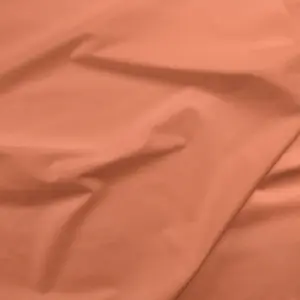 Painter's Palette Clay