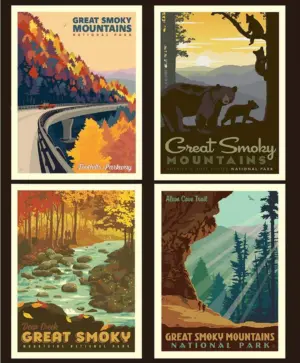 National Parks Great Smoky Mountains Panel