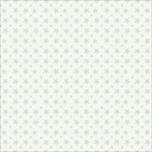 light gray patriotic star quilting fabric