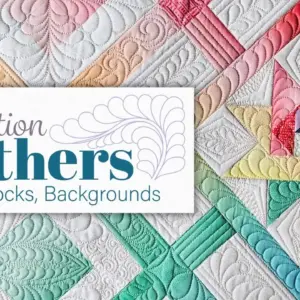 Feathers: Border, Blocks & Backgrounds Free-motion Challenge Quilting Along